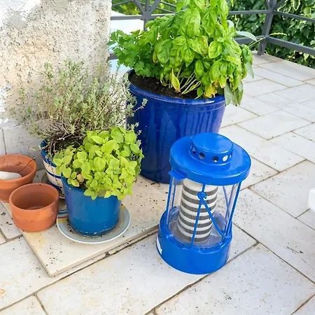 Charming In Zambratija, 44 Sqm, Parking Included *